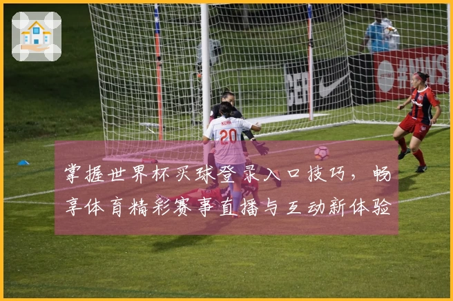 掌握世界杯买球登录入口技巧，畅享体育精彩赛事直播与互动新体验
