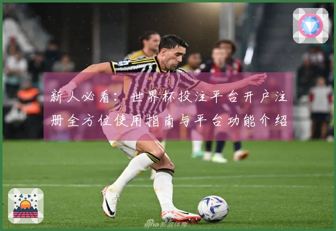新人必看：世界杯投注平台开户注册全方位使用指南与平台功能介绍