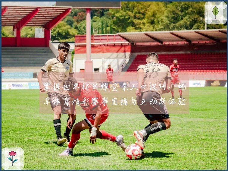 掌握世界杯买球登录入口技巧，畅享体育精彩赛事直播与互动新体验
