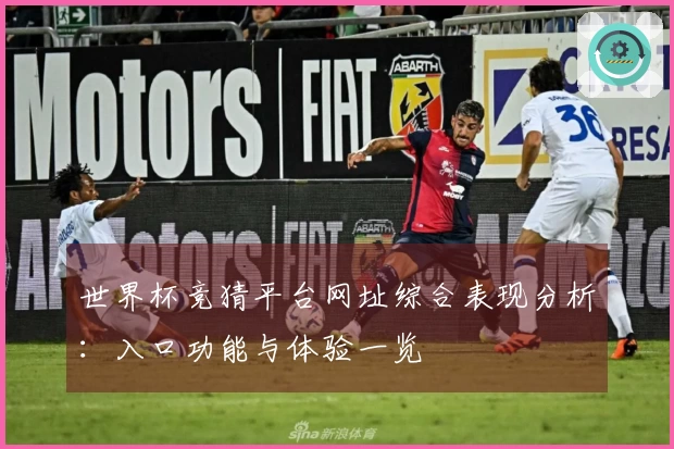 世界杯竞猜平台网址综合表现分析：入口功能与体验一览