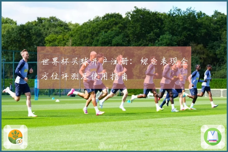 世界杯买球开户注册：综合表现全方位评测及使用指南
